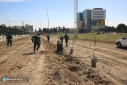 غرس نهال در زمین‌های موسسه ژئوفیزیک دانشگاه تهران