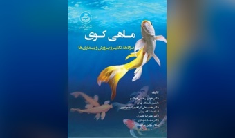 ماهی کوی: نژادها،‌ تکثیر ، پرورش و بیماری‌ها