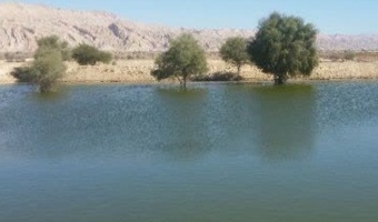 دانش بومی و ابتکارات محلی؛ راهکارهای محققان دانشگاه تهران برای مدیریت پایدار منابع آب کشور