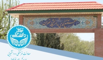 فراخوان تعیین مستأجر برای صنوف خدمات‌رسان خوابگاه‌های دانشجویی دانشگاه تهران