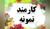 کارشناس دانشگاه تهران کارشناس نمونه هسته‌های گزینش کارکنان وزارت علوم شد