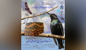برگزاری نشست علمی «میراث فرهنگی و تنوع زیستی، از دشت طهران تا باغ موزه‌های تهران» در باغ موزه نگارستان